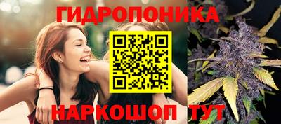 кокс Лесосибирск