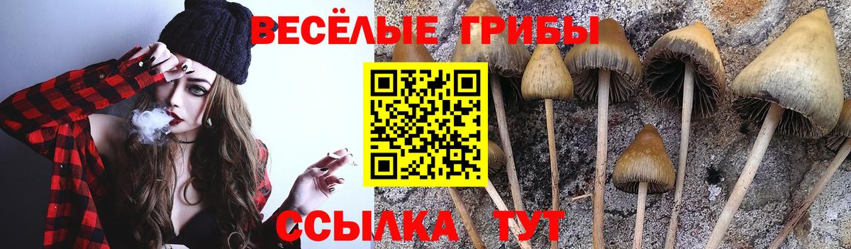 Амфетамин Гурьевск